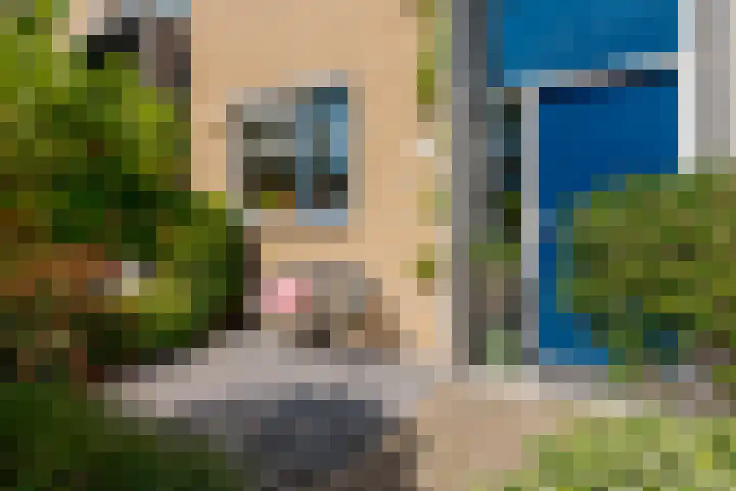 Torenmeesterstraat 24 Zwolle thumbnail 7