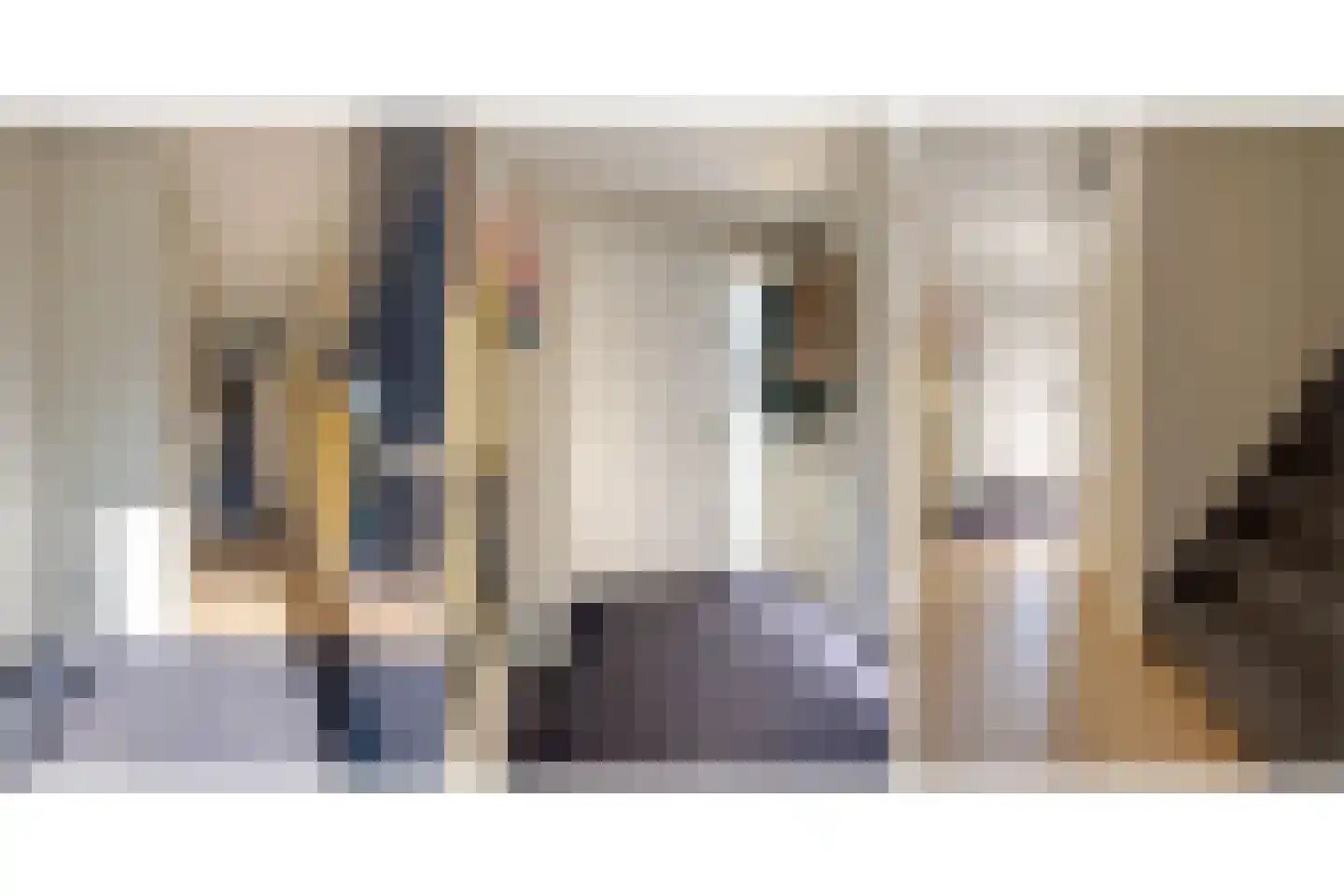 Torenmeesterstraat 24 Zwolle thumbnail 8