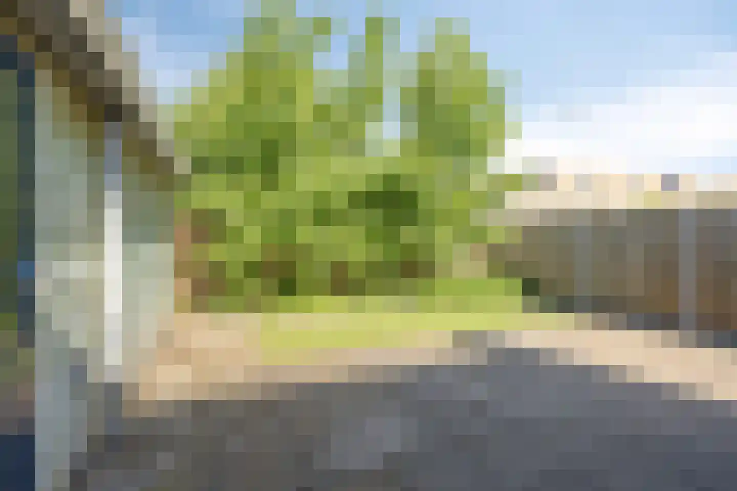 Torenmeesterstraat 46 Zwolle thumbnail 22