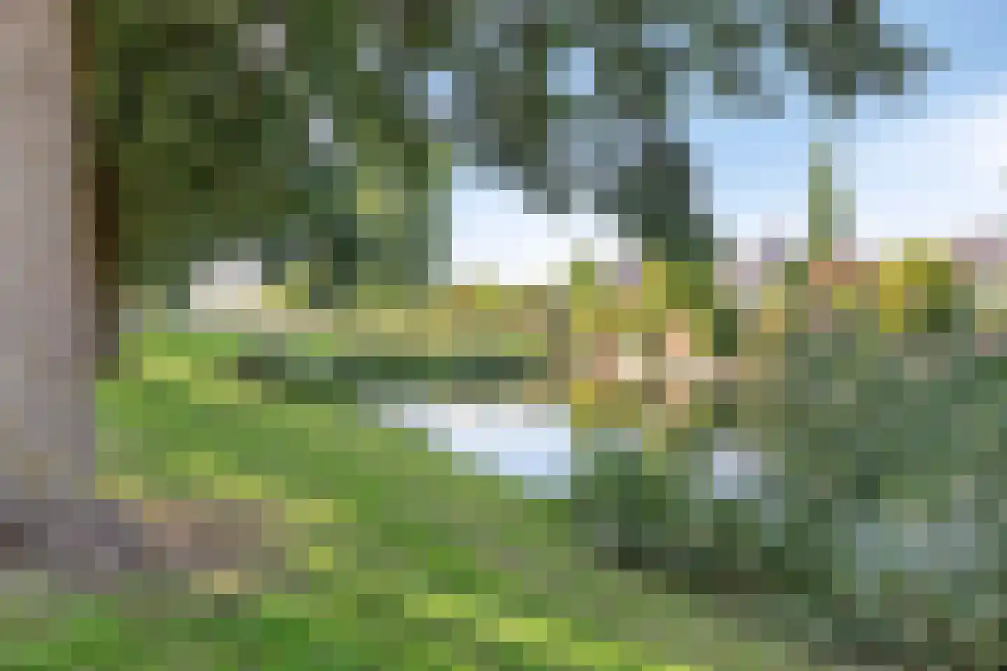 Torenmolen 105 Barendrecht thumbnail 33