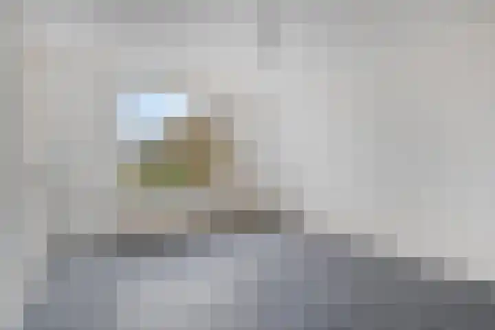 Torenmolen 12 Purmerend thumbnail 10