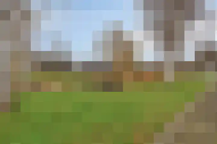 Torenmolen 12 Purmerend thumbnail 37