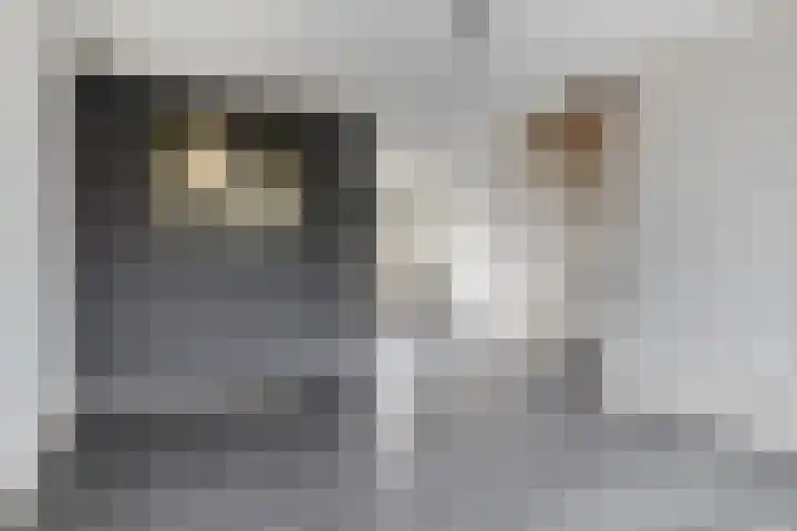 Torenmolen 12 Purmerend thumbnail 6