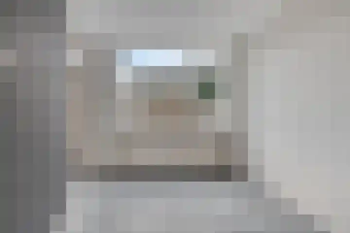 Torenmolen 12 Purmerend thumbnail 8