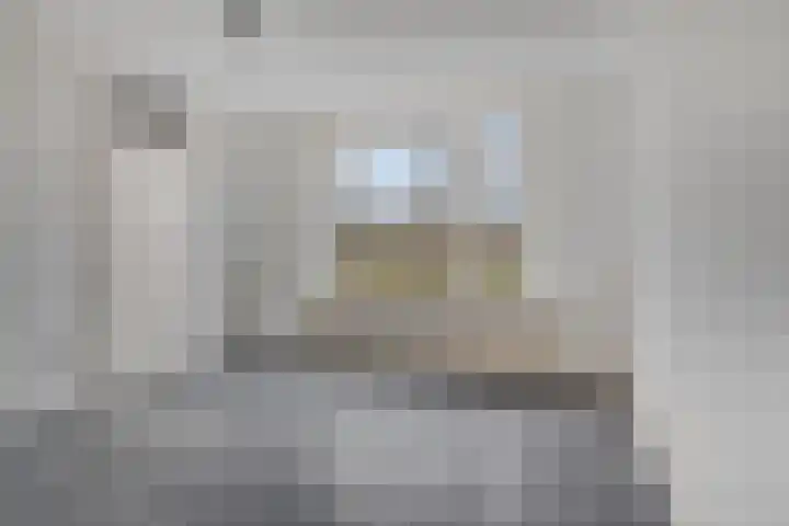 Torenmolen 12 Purmerend thumbnail 9