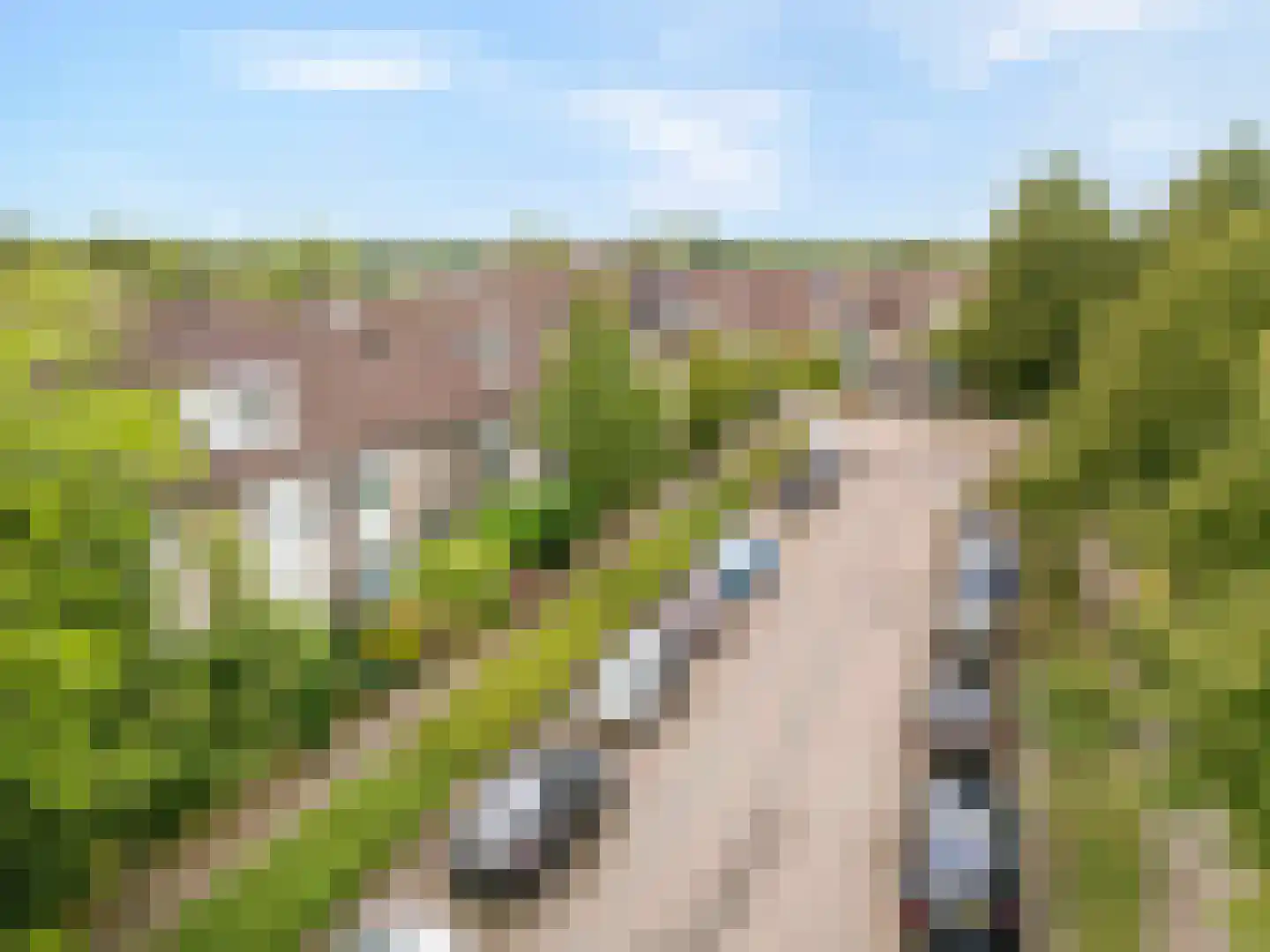 Torenmolen 163 Barendrecht thumbnail 43