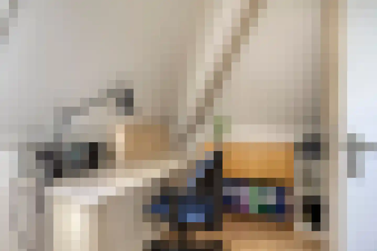 Torenmolen 19 de Lutte thumbnail 17