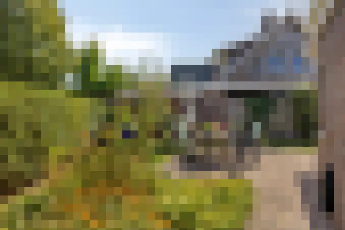 Torenmolen 19 de Lutte thumbnail 22
