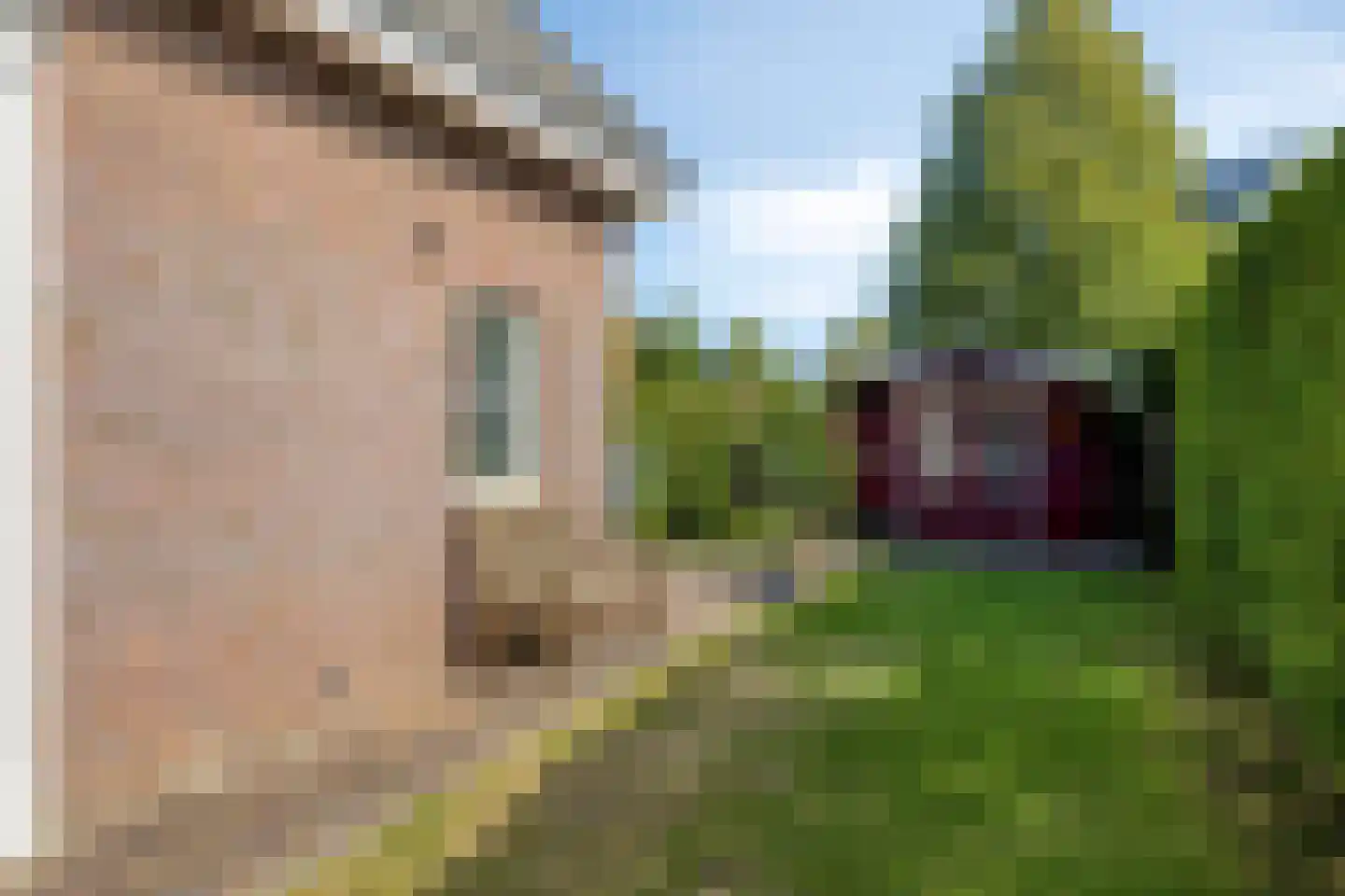 Torenmolen 19 de Lutte thumbnail 23