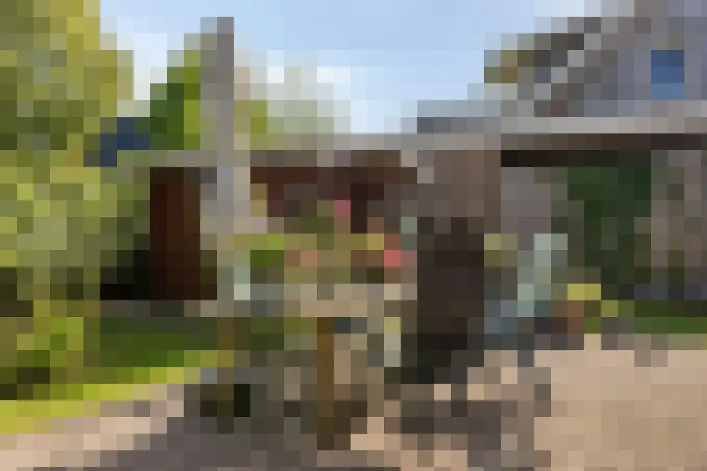Torenmolen 19 de Lutte thumbnail 4