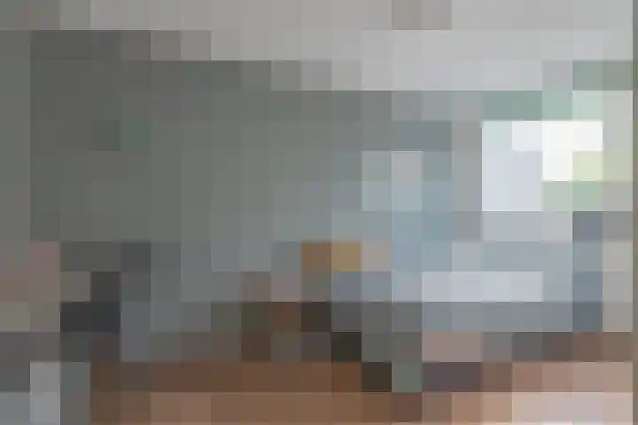 Torenmolen 24 Dinteloord thumbnail 12