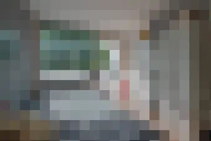 Torenmolen 24 Dinteloord thumbnail 13