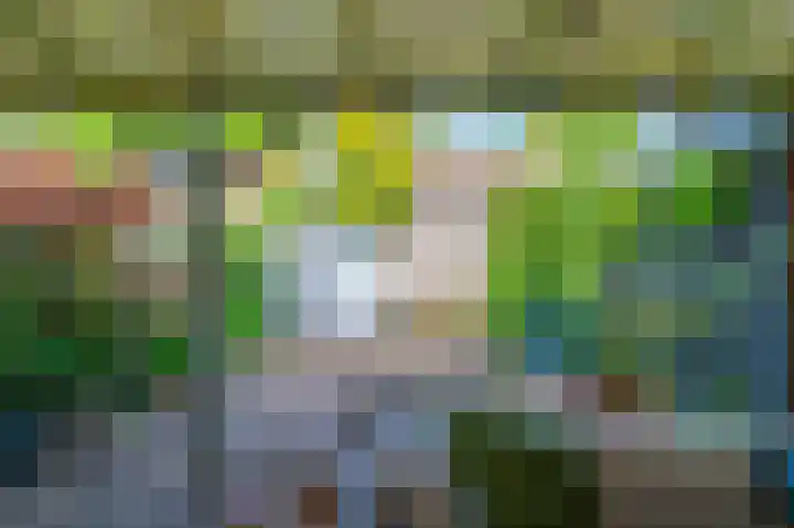 Torenmolen 24 Dinteloord thumbnail 18