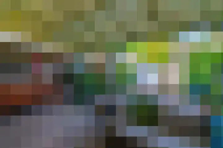 Torenmolen 24 Dinteloord thumbnail 20