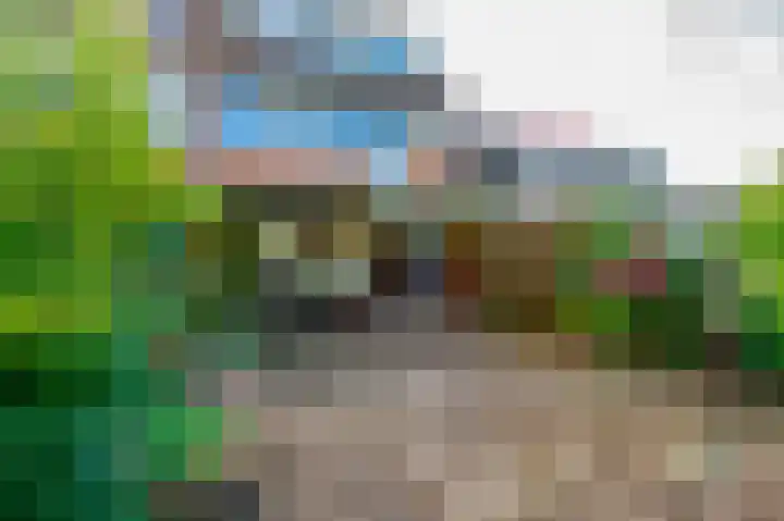 Torenmolen 24 Dinteloord thumbnail 21