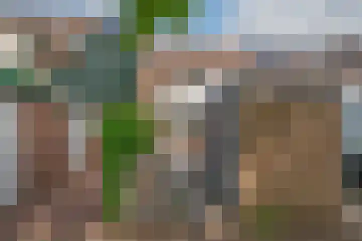 Torenmolen 24 Dinteloord thumbnail 22