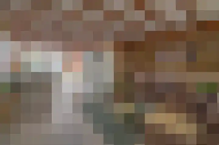 Torenmolen 24 Dinteloord thumbnail 7