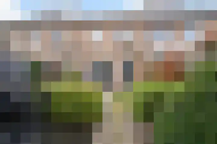 Torenmolen 36 Maassluis thumbnail 13