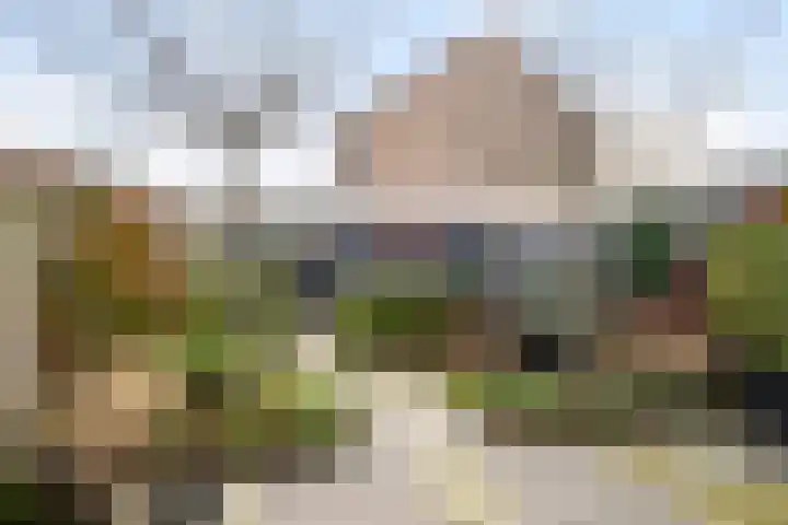 Torenmolen 36 Maassluis thumbnail 4