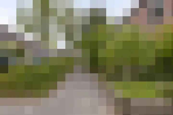 Torenmolen 51 Barendrecht thumbnail 27