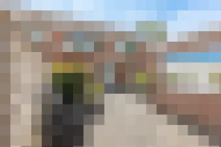 Torenmolen 59 Heerhugowaard thumbnail 32