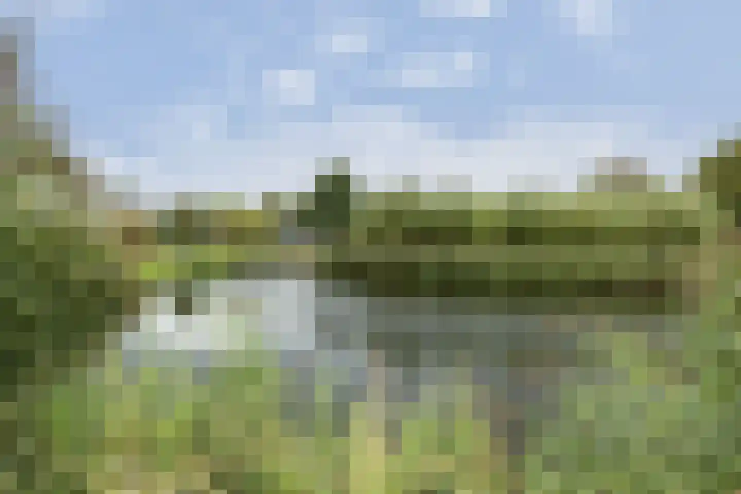Torenmolen 7 Barendrecht thumbnail 34