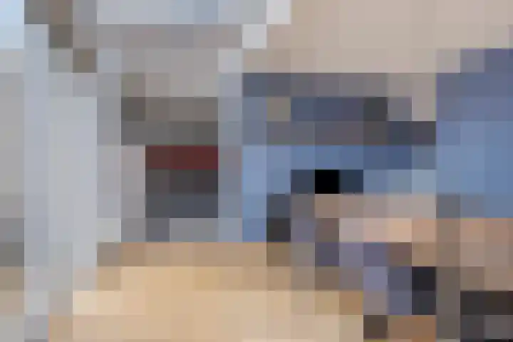 Torenmolenlaan 5 a Lochem thumbnail 11