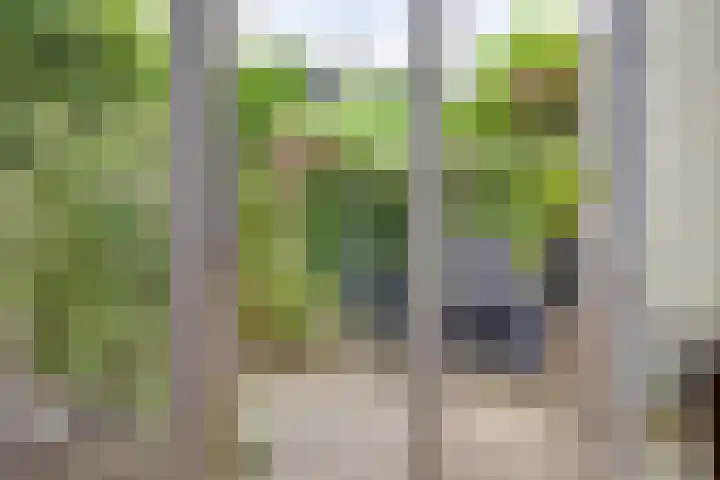 Torenmolenlaan 5 a Lochem thumbnail 12