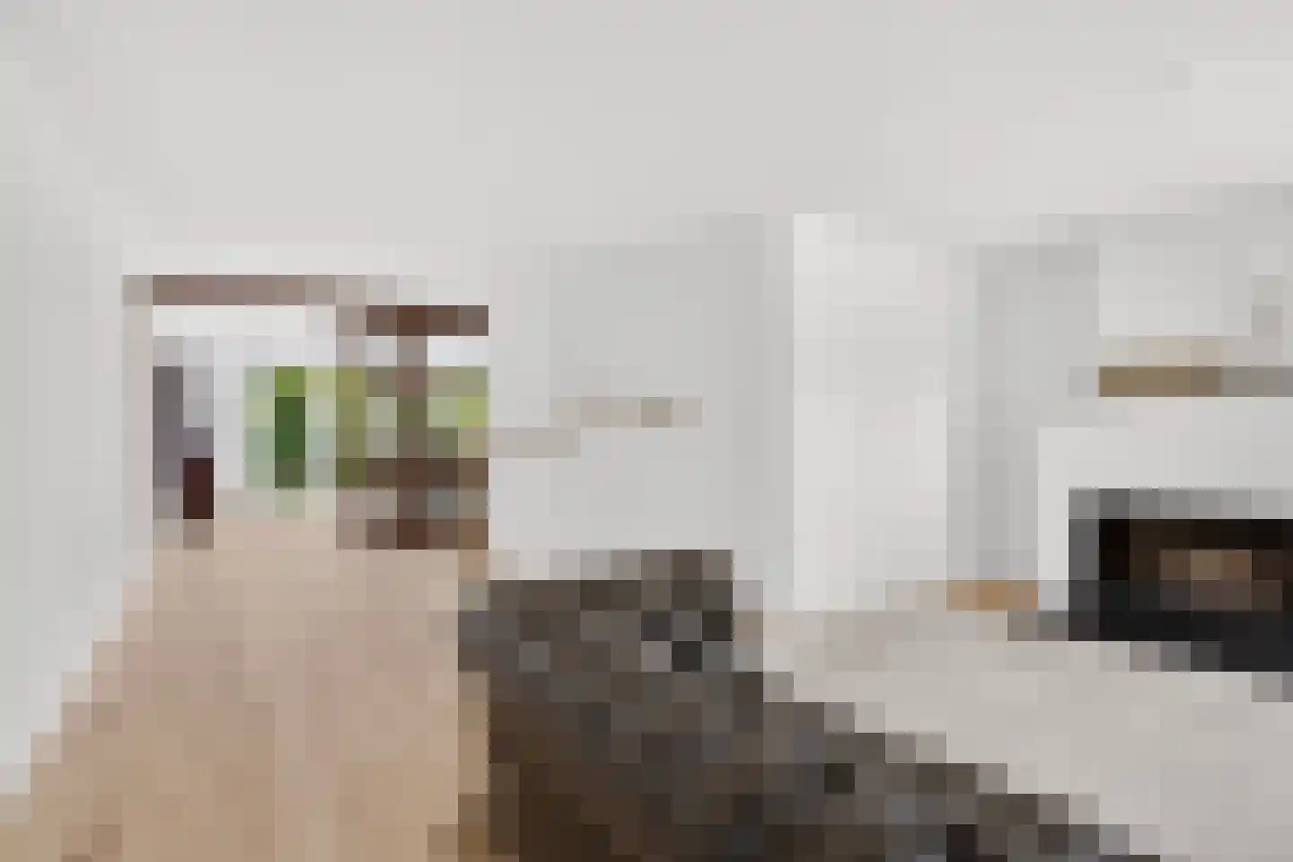 Torenmolenlaan 5 a Lochem thumbnail 14