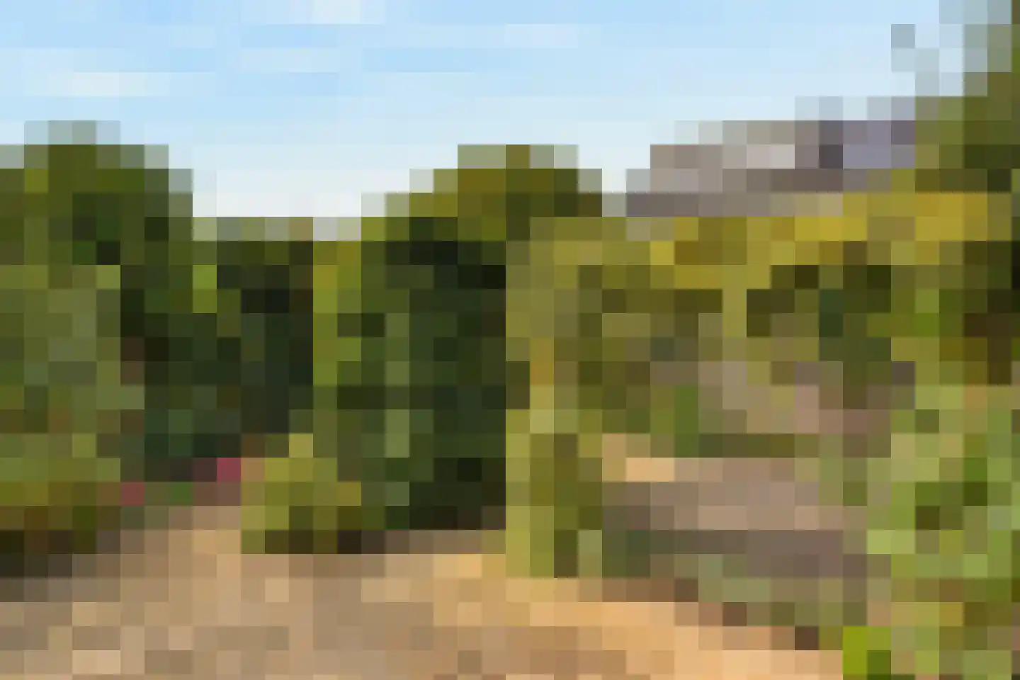 Torenmolenlaan 5 a Lochem thumbnail 25
