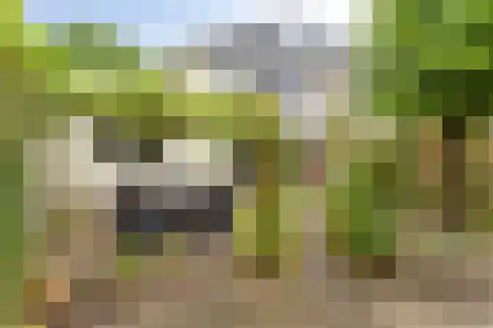 Torenmolenlaan 5 a Lochem thumbnail 26