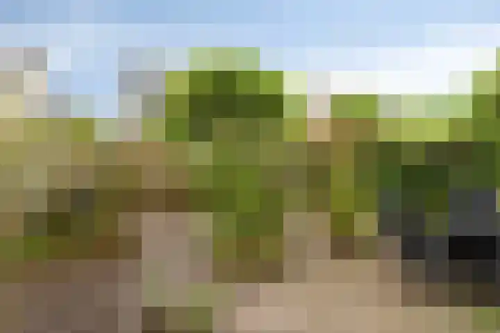 Torenmolenlaan 5 a Lochem thumbnail 27