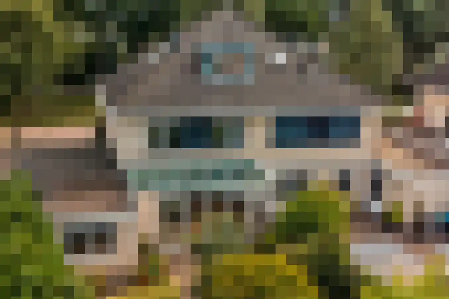 Torenmolenlaan 5 a Lochem thumbnail 27
