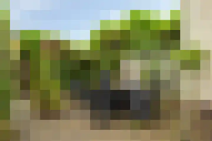 Torenmolenlaan 5 a Lochem thumbnail 28