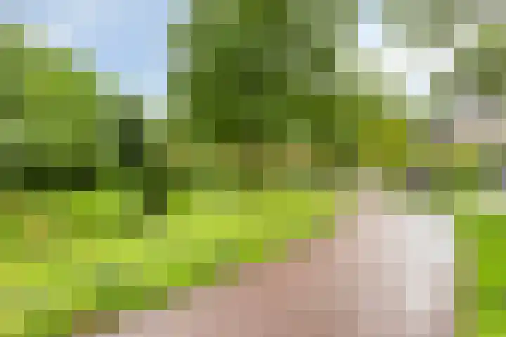 Torenmolenlaan 5 a Lochem thumbnail 29