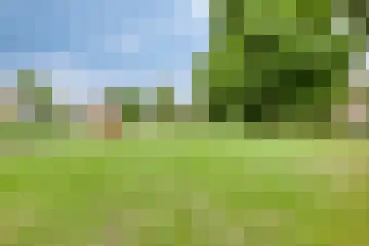 Torenmolenlaan 5 a Lochem thumbnail 30