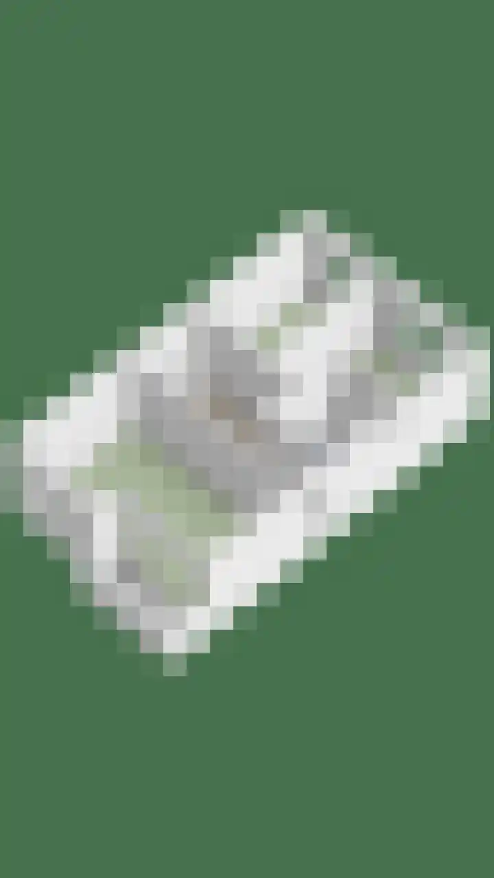Torenmolenlaan 5 a Lochem thumbnail 36