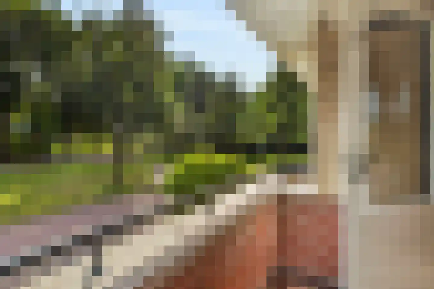 Torenmolenlaan 5 a Lochem thumbnail 39