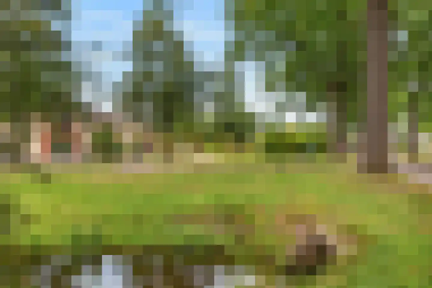 Torenmolenlaan 5 a Lochem thumbnail 45