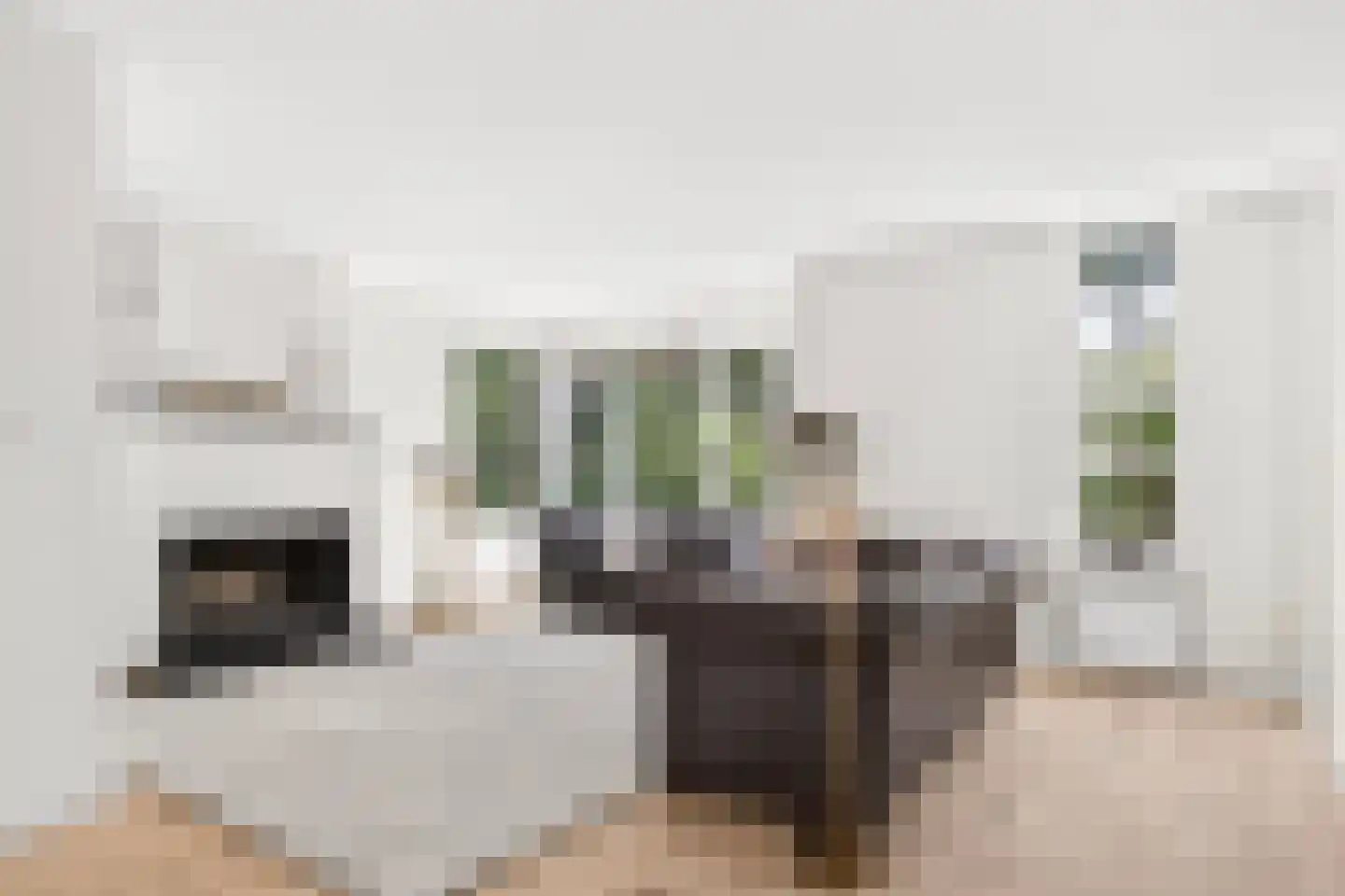 Torenmolenlaan 5 a Lochem thumbnail 8