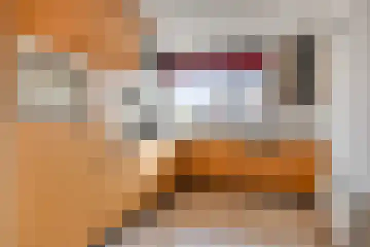 Torenmolenlaan 88 Lochem thumbnail 14
