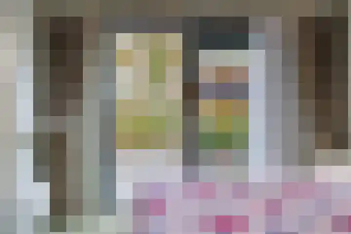 Torenmolenlaan 88 Lochem thumbnail 22