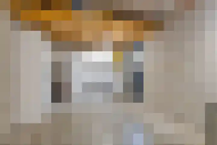 Torenmolenlaan 88 Lochem thumbnail 27