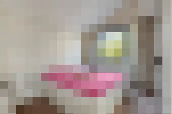 Torenmolenlaan 88 Lochem thumbnail 31