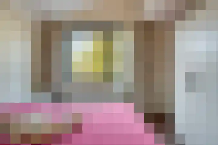 Torenmolenlaan 88 Lochem thumbnail 32