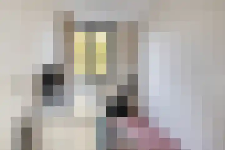 Torenmolenlaan 88 Lochem thumbnail 36