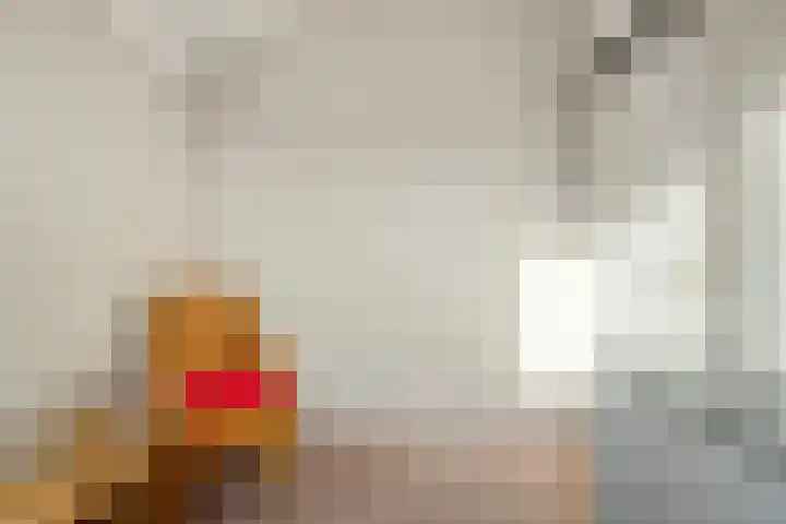 Torenmolenlaan 88 Lochem thumbnail 39