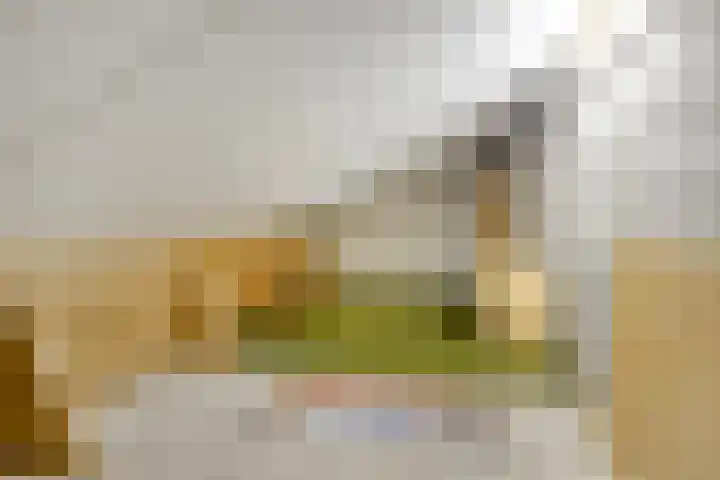 Torenmolenlaan 88 Lochem thumbnail 40
