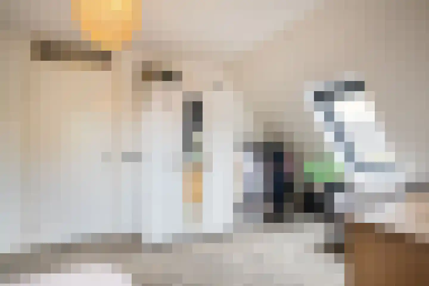 Torenmolenlaan 97 Lochem thumbnail 27