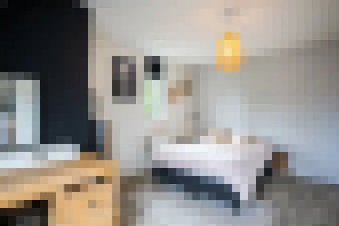 Torenmolenlaan 97 Lochem thumbnail 28